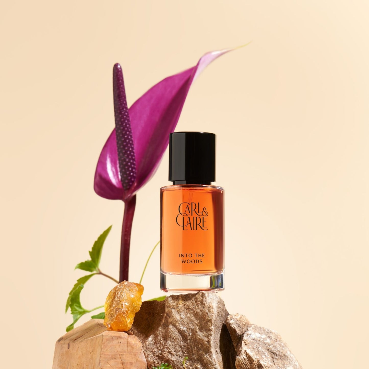 Carl & Claire Into the Woods EDP 30ml